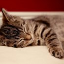 신영통경희한의원 이미지