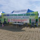 강릉시 시니어 파크골프대회 성황리에 마쳐 이미지