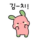청솔김치