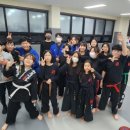 강철태권도체육관 이미지