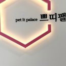 쁘띠팰리스(삼척점) 이미지