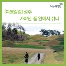 가야산 품 안에서 쉬다