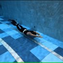 돈까스잔치 | [내돈내산] 용인 에버랜드/딥스테이션 주변 맛집 돈까스잔치 마성점 후기 (단팥빵구매)