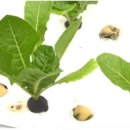 감당농장 이미지