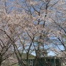 산동목장 이미지