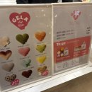 젤라잇 | [노원] 노원 롯데백화점 팝업 젤라잇(GELA eat)