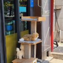 (주)트럭운수 이미지