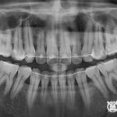 김성진치과의원 이미지