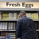 빼올농장 이미지