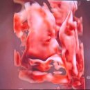 분당우리산부인과의원 이미지