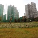 호미골체육공원 이미지