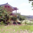 개울건너 민박 이미지