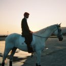 호랑이형제 이미지