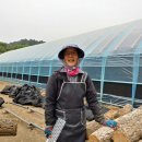 유인숙농장 이미지