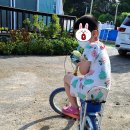 노라부러2 | 태안 아이동반 숙소 : 안면도 노라부러 펜션