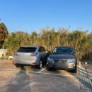 장위동유성집중문점 이미지