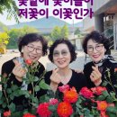 건천초등학교 티스토리