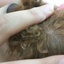 경북가축병원 이미지