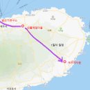 제주 야자원 이미지