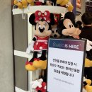 아울렛스토어