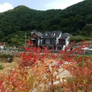 오크캐슬펜션