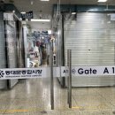 신혼이불 알레르망 침구세트 구매 후기