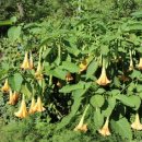 해조음펜션 이미지