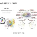 한국다중지능적성평가원 네이버블로그