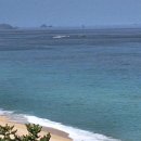 바다정원 이미지