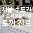 차오름동물병원 | 차오름동물병원 수도권 특수동물병원 토끼 응급 진료 후기