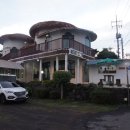 주돼지무한리필 이미지