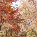 동막역 4번출구 이미지