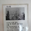 _1968년.5.23일 (첫 서원) 이미지