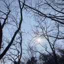 구로-구로-구로-3087 | 주말 기록 / feat 소갈비 / 발렌타인데이 초콜릿 추천