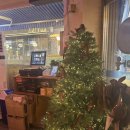 섬마을포차 | 평택 섬마을포차 겨울 제철 방어 맛집? 직접 먹어본 내돈내산 후기