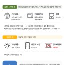 다복솔 이미지