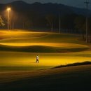 금성파크 이미지