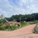 이정회내과의원 | 구례 지리산정원 숲속수목가옥 단풍나무방