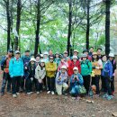 느림 도보 여행 방 주관 남산자락 숲길-1 (2025.05.11) 이미지