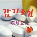 그루터기