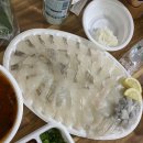 제주시 구엄어촌계 | 제주도 여행 :: 개안할 수준의 제주도 맛집, 구엄어촌계회마을