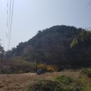 포항시북구43 이미지