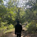 서봉산 산림욕장 2 이미지