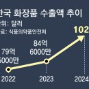 대영화장품 이미지