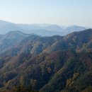 금대목장 이미지