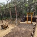 숲속공원놀이터 이미지