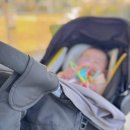 지도 바깥 | 강릉 end to and 후기/아기·반려견 동반 가능, 네이버 지도 평점 5.0 이유 있음