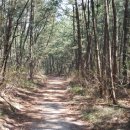 작은섬민박 이미지