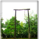 오수초등학교 이미지