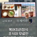 안심여관 | 동대구역 가성비 숙소 무제여관 복어지리정식 아침 조식 1인 무료 숙박 후기